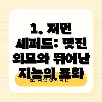 1. 저먼 셰퍼드: 멋진 외모와 뛰어난 지능의 조화