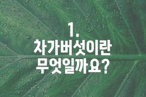 1. 차가버섯이란 무엇일까요?