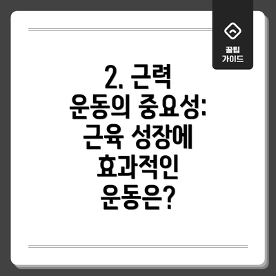 2. 근력 운동의 중요성: 근육 성장에 효과적인 운동은?