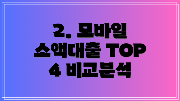 2. 모바일 소액대출 TOP 4 비교분석