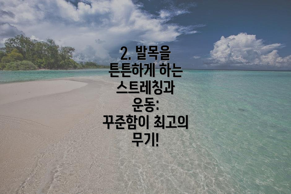 2. 발목을 튼튼하게 하는 스트레칭과 운동:  꾸준함이 최고의 무기!