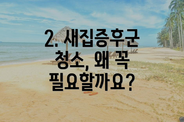 2. 새집증후군 청소, 왜 꼭 필요할까요?