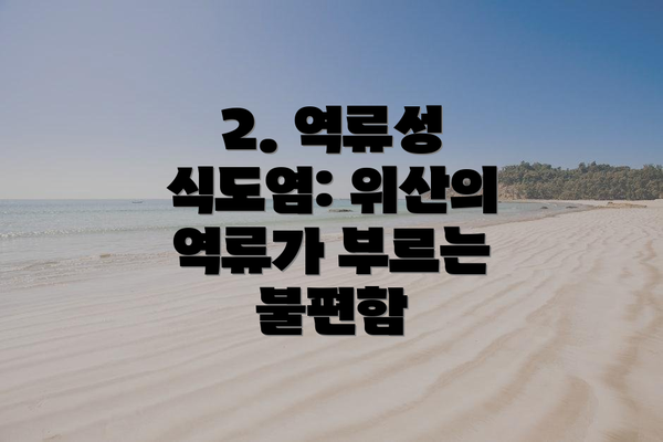 2. 역류성 식도염: 위산의 역류가 부르는 불편함