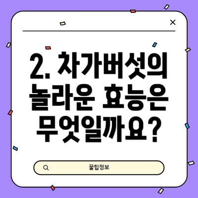 2. 차가버섯의 놀라운 효능은 무엇일까요?