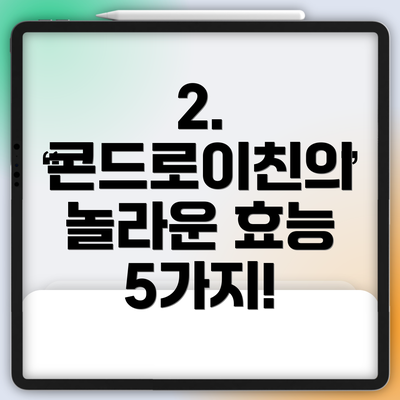 2. 콘드로이친의 놀라운 효능 5가지!