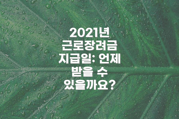 2021년 근로장려금 지급일: 언제 받을 수 있을까요?