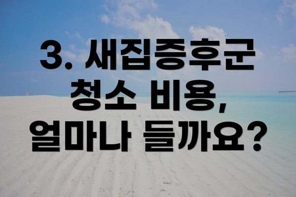 3. 새집증후군 청소 비용, 얼마나 들까요?