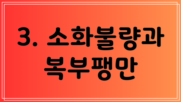 3. 소화불량과 복부팽만
