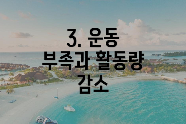 3. 운동 부족과 활동량 감소
