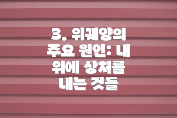 3. 위궤양의 주요 원인: 내 위에 상처를 내는 것들