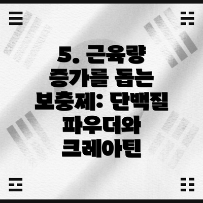 5. 근육량 증가를 돕는 보충제: 단백질 파우더와 크레아틴