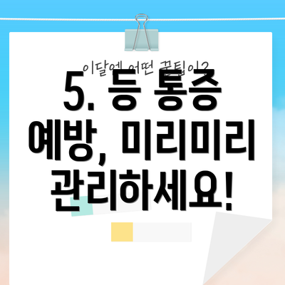 5. 등 통증 예방, 미리미리 관리하세요!