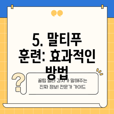 5. 말티푸 훈련: 효과적인 방법