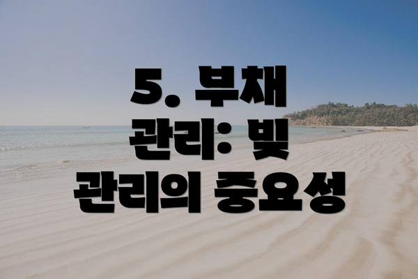 5. 부채 관리: 빚 관리의 중요성