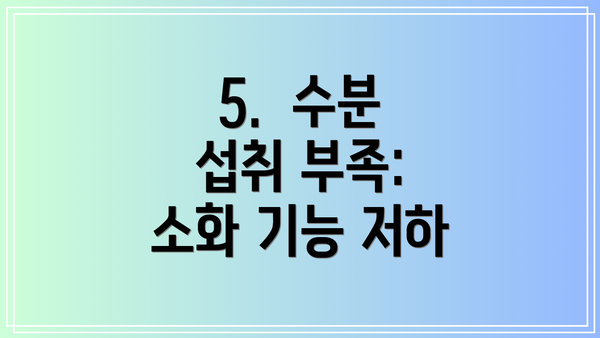 5.  수분 섭취 부족: 소화 기능 저하