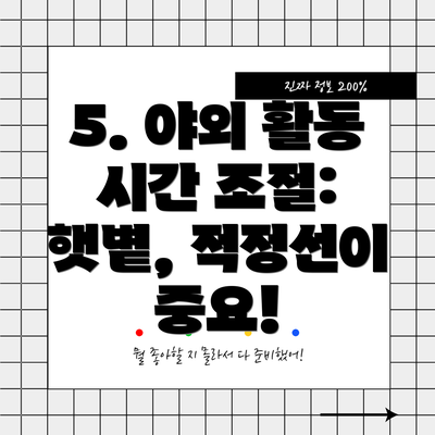 5. 야외 활동 시간 조절:  햇볕, 적정선이 중요!