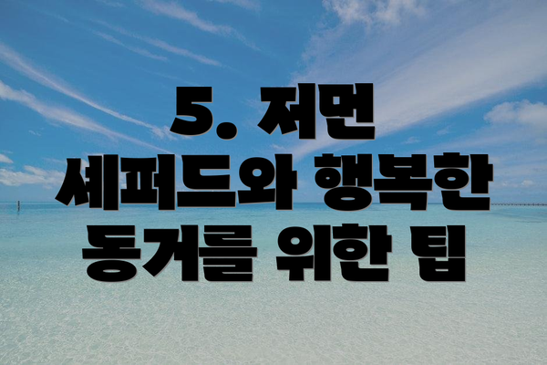5. 저먼 셰퍼드와 행복한 동거를 위한 팁