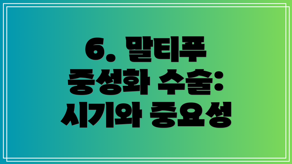 6. 말티푸 중성화 수술: 시기와 중요성