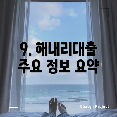 9. 해내리대출 주요 정보 요약