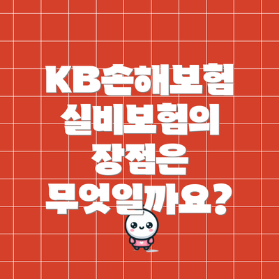 KB손해보험 실비보험의 장점은 무엇일까요?