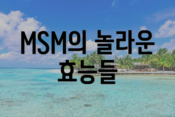 MSM의 놀라운 효능들