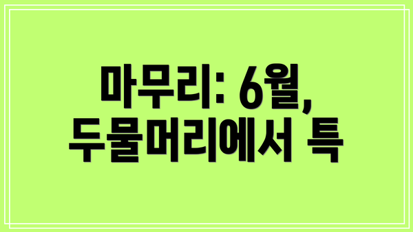 마무리: 6월, 두물머리에서 특