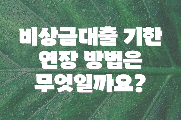 비상금대출 기한 연장 방법은 무엇일까요?