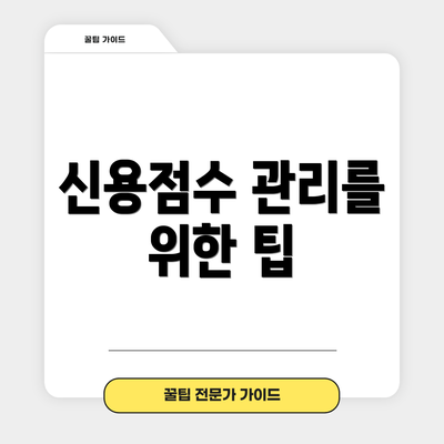 신용점수 관리를 위한 팁