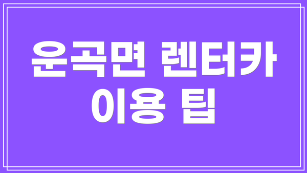 운곡면 렌터카 이용 팁