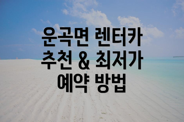 운곡면 렌터카 추천 & 최저가 예약 방법