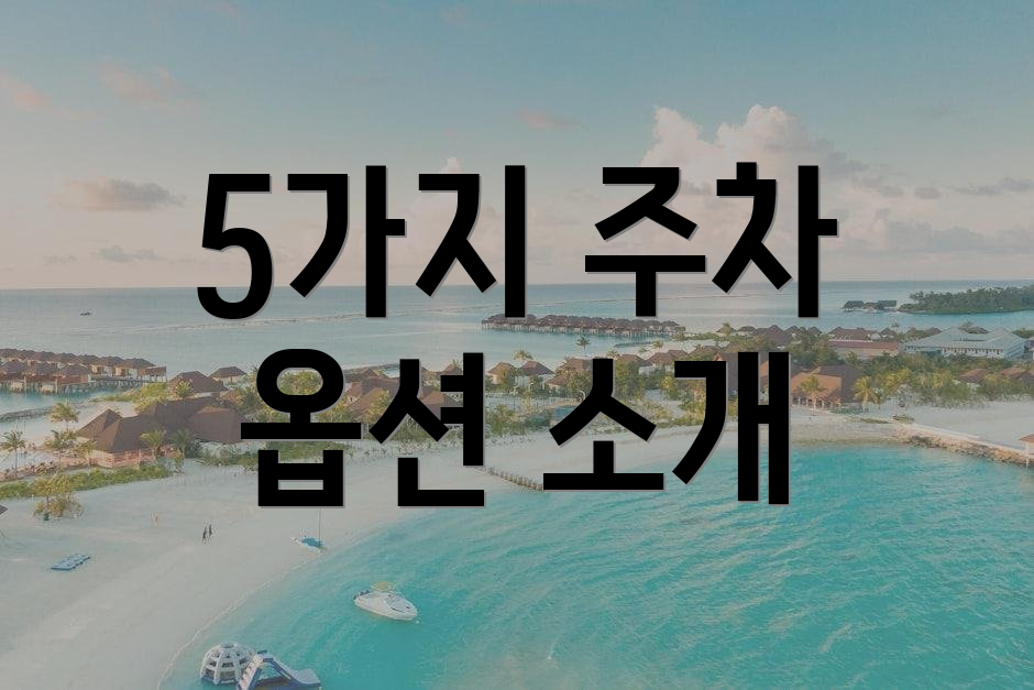 5가지 주차 옵션 소개