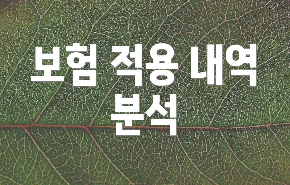 보험 적용 내역 분석