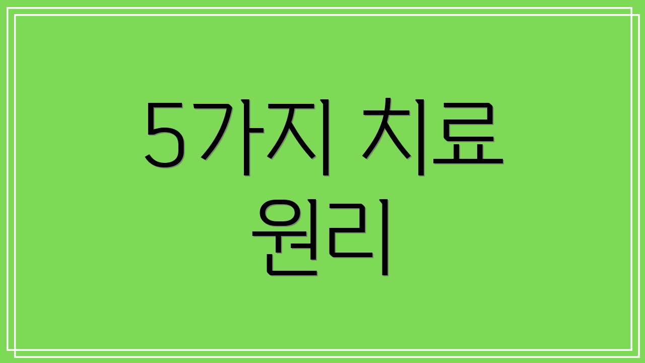 5가지 치료 원리