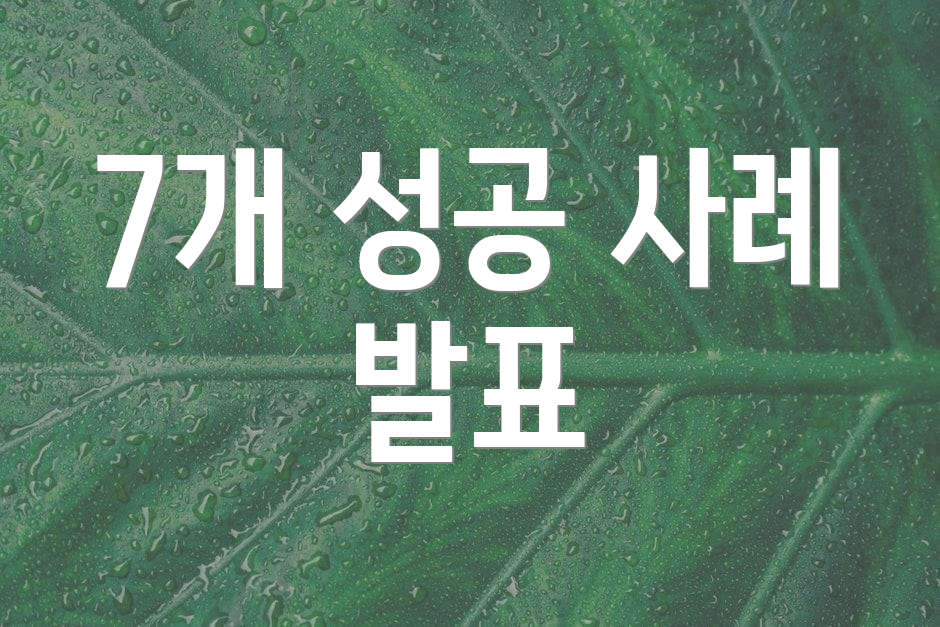 7개 성공 사례 발표
