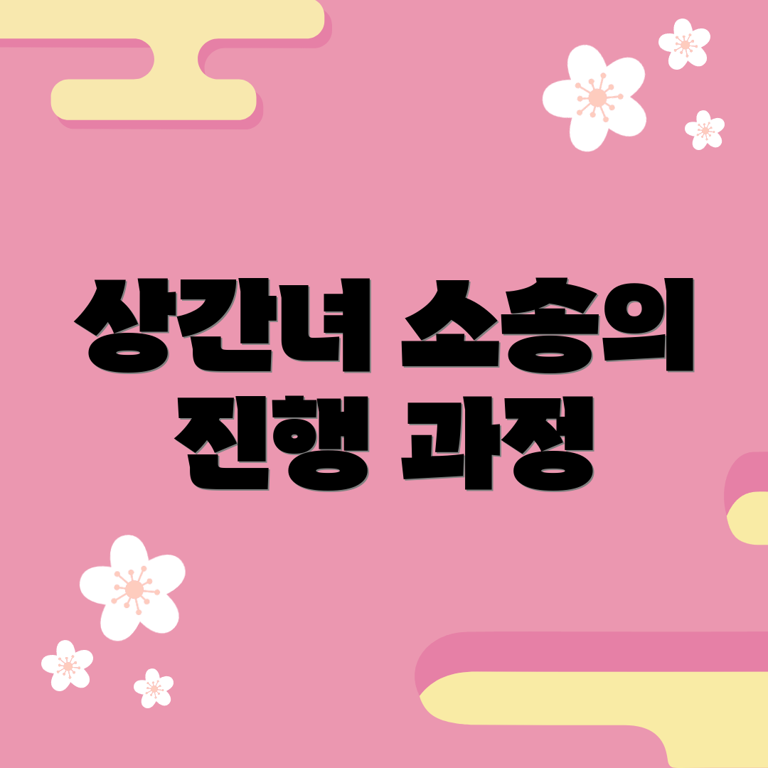 상간녀 소송의 진행 과정