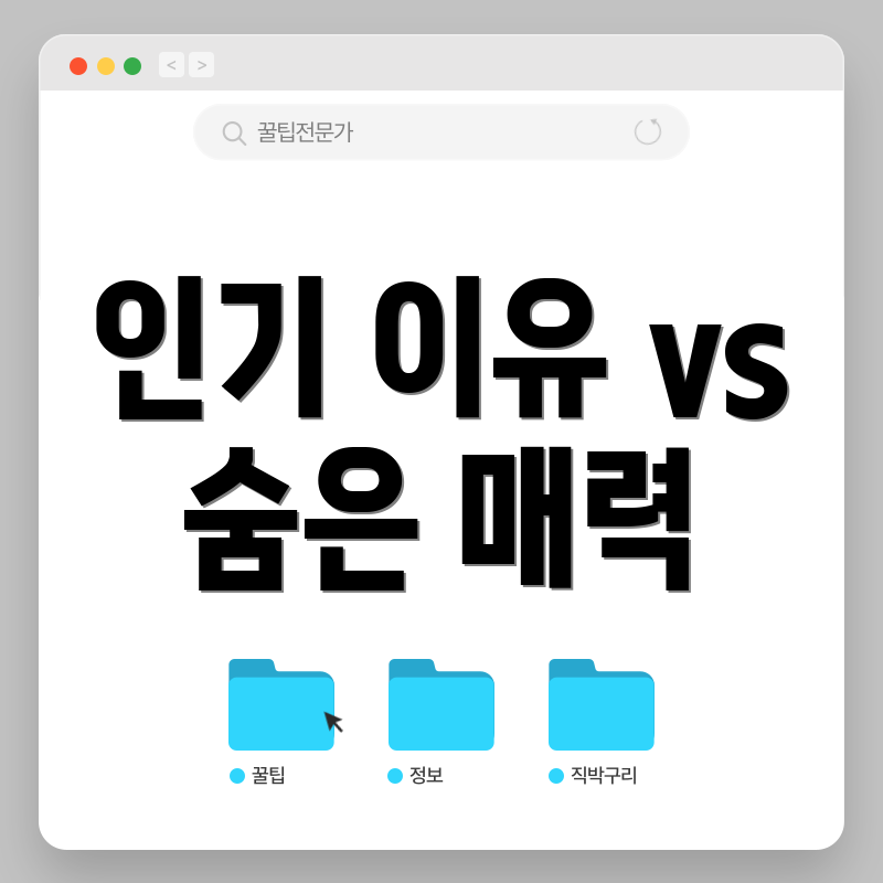 인기 이유 vs 숨은 매력