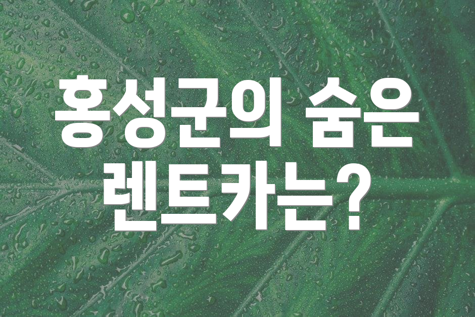 홍성군의 숨은 렌트카는?