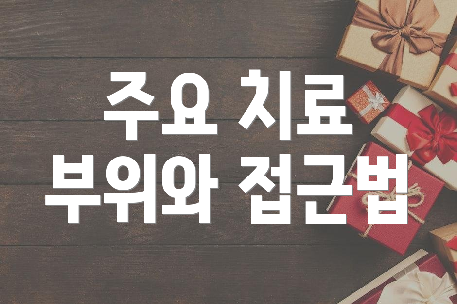 주요 치료 부위와 접근법
