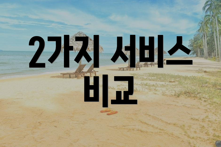 2가지 서비스 비교