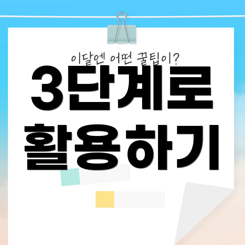 3단계로 활용하기
