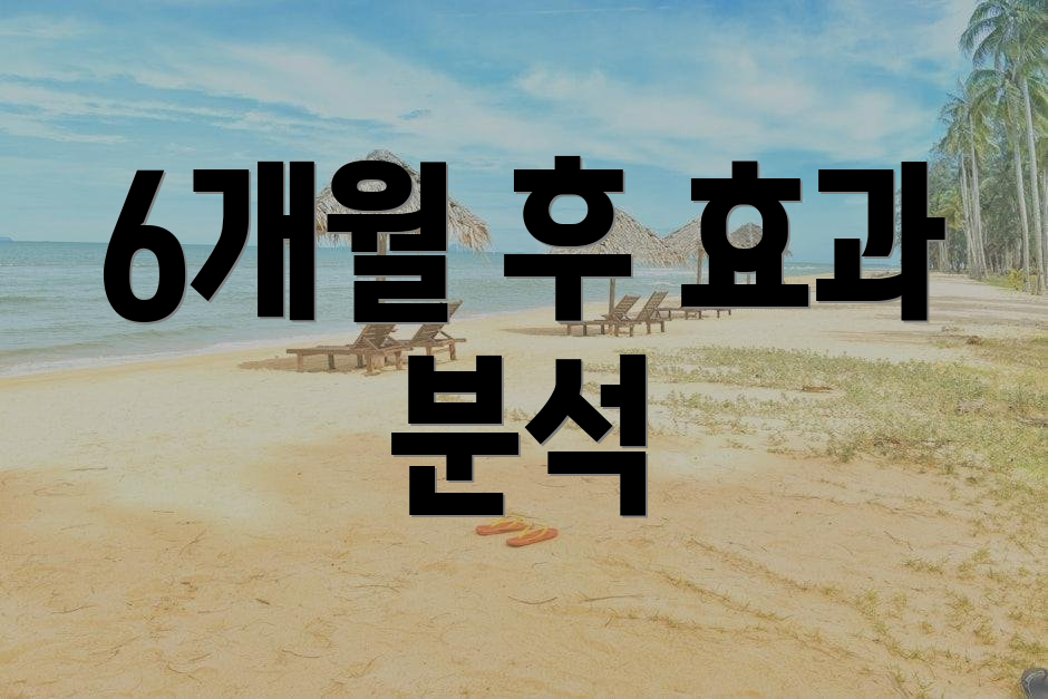 6개월 후 효과 분석