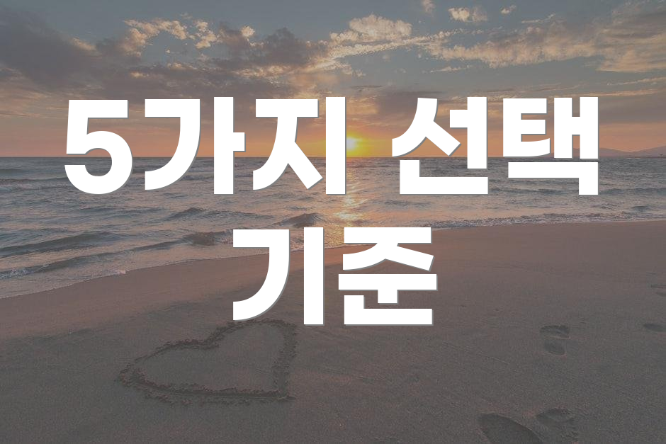 5가지 선택 기준
