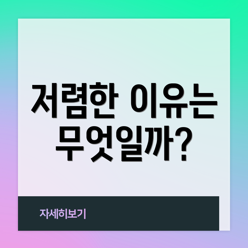 저렴한 이유는 무엇일까?