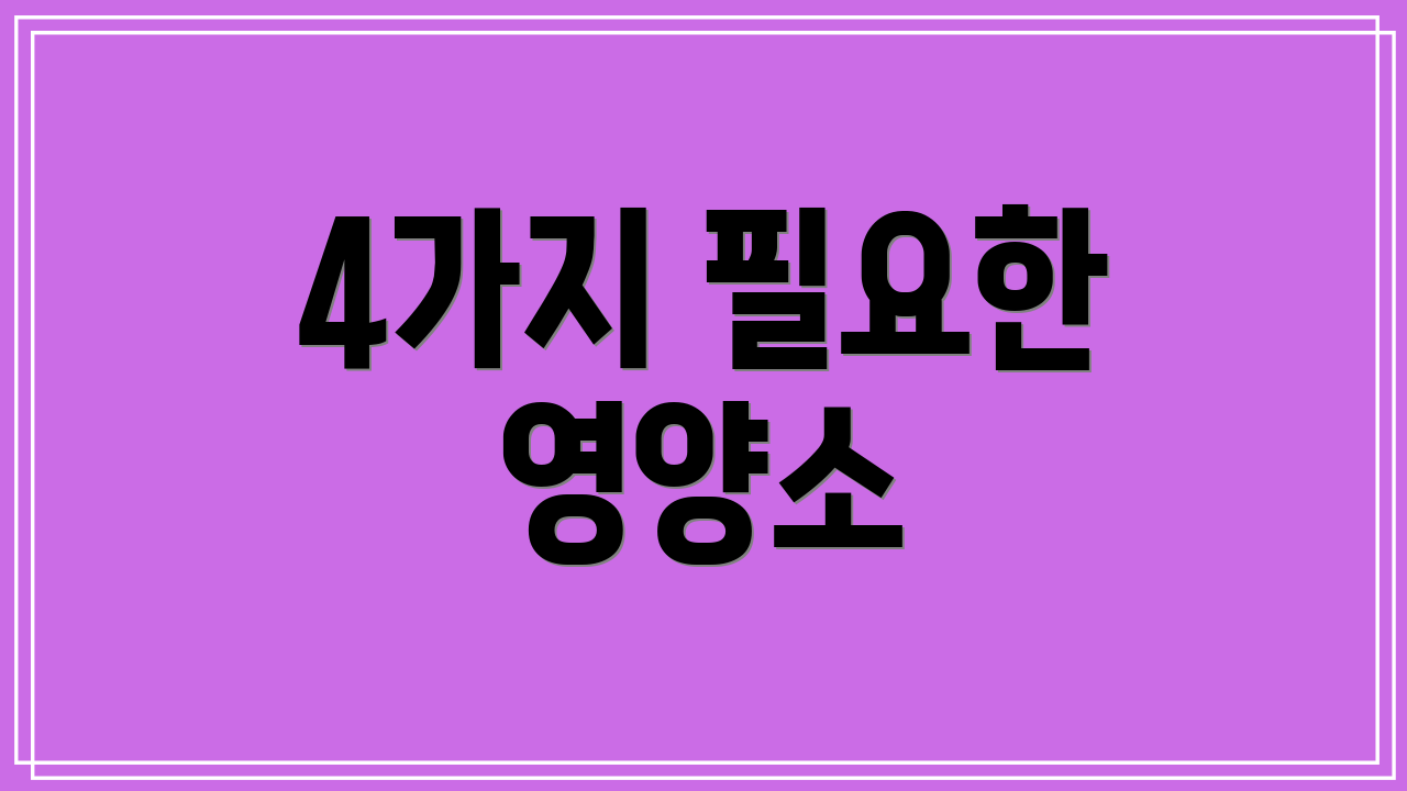 4가지 필요한 영양소