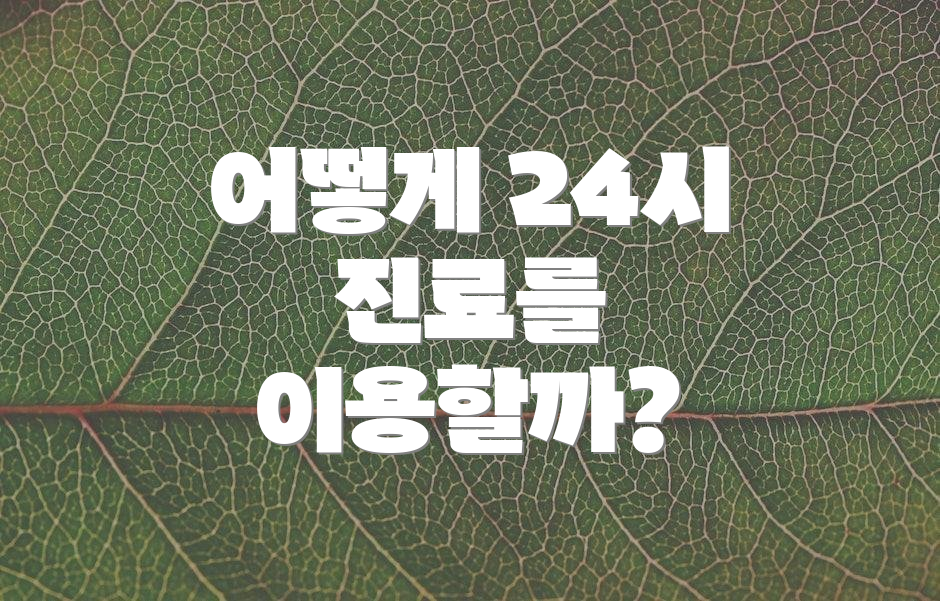 어떻게 24시 진료를 이용할까?