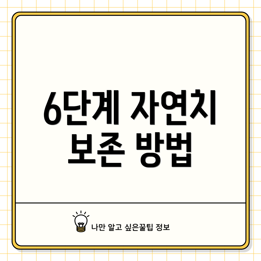 6단계 자연치 보존 방법