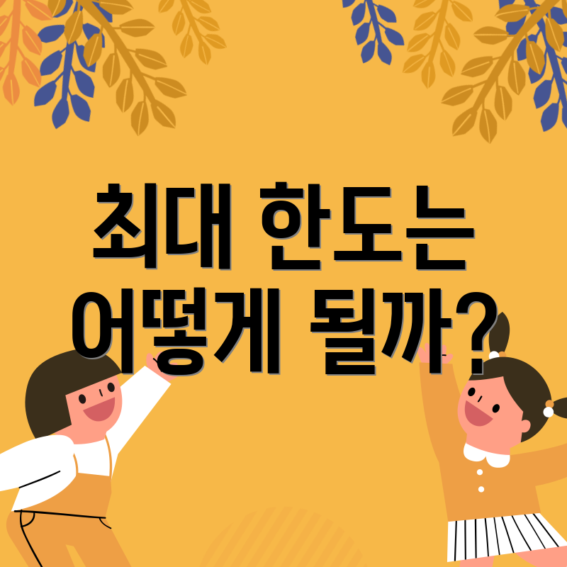 최대 한도는 어떻게 될까?