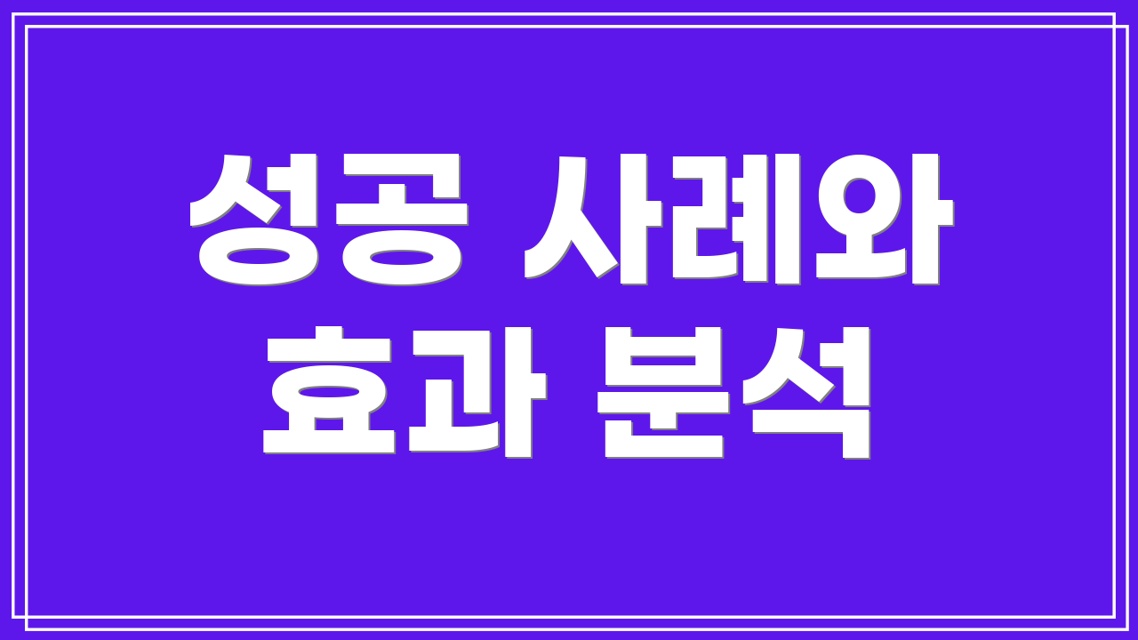 성공 사례와 효과 분석