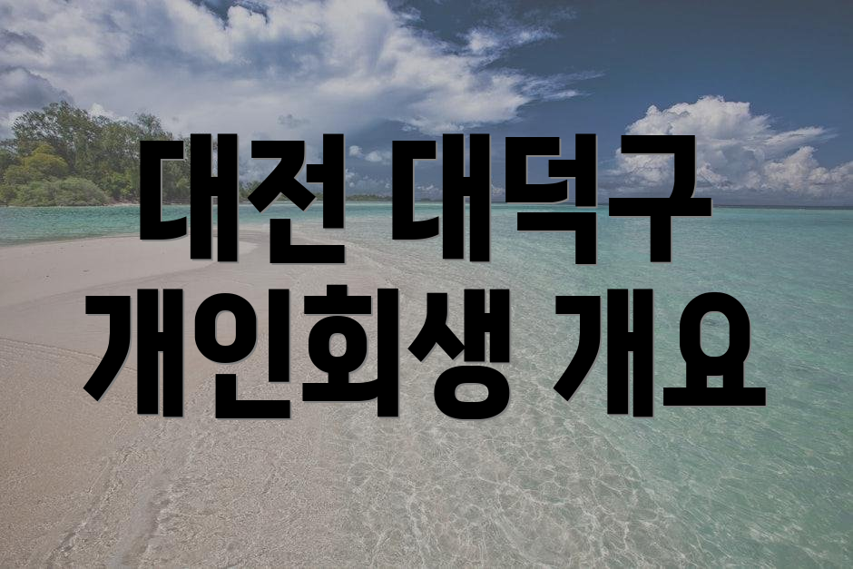 대전 대덕구 개인회생 개요