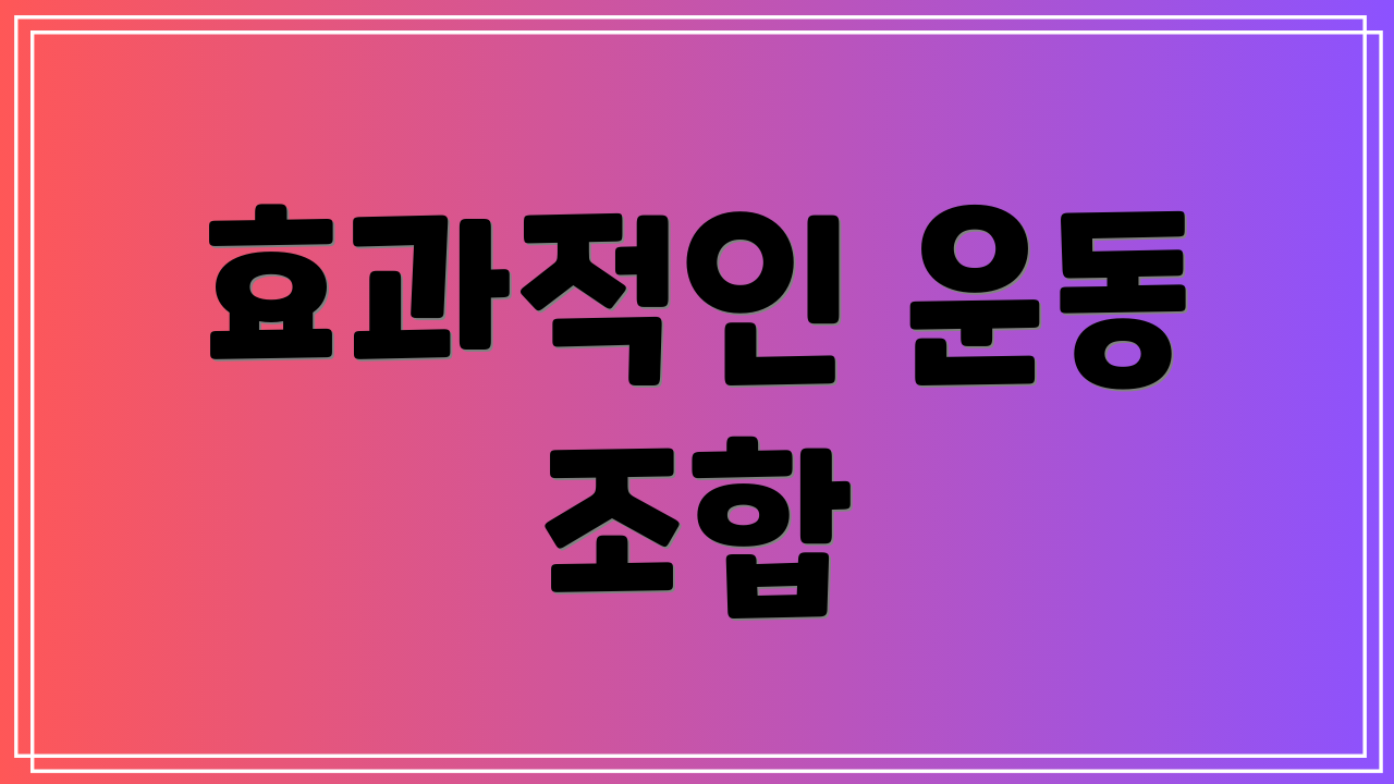 효과적인 운동 조합